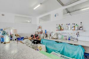 Trasferimento - Arico (9)