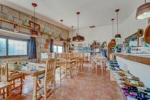 Estate - Vilaflor - Bodega Viñaflor (2)