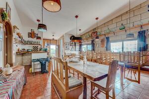 Estate - Vilaflor - Bodega Viñaflor (3)