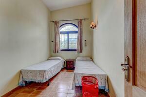 Estate - Vilaflor - Bodega Viñaflor (6)