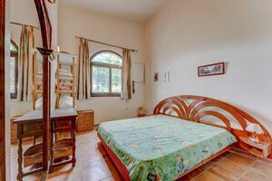 Estate - Vilaflor - Bodega Viñaflor (7)