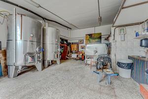 Estate - Vilaflor - Bodega Viñaflor (11)