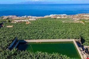 Estate - Guía de Isora (5)