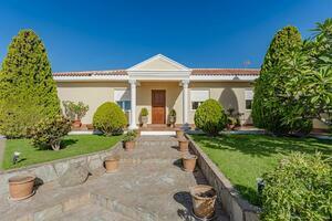 Estate - Guía de Isora (9)