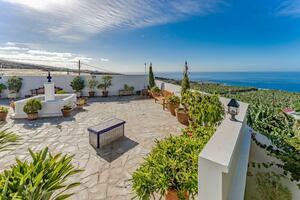 Estate - Guía de Isora (13)