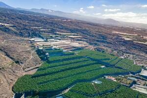 Estate - Guía de Isora (28)