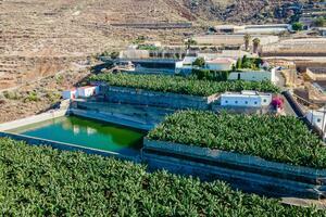 Estate - Guía de Isora (31)