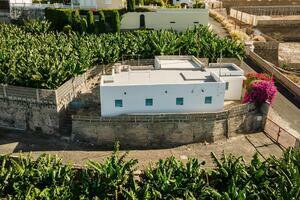 Estate - Guía de Isora (33)