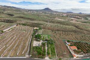 Estate - San Miguel (1)