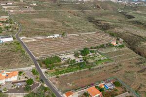 Estate - San Miguel (2)