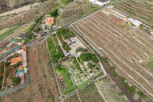 Estate - San Miguel (4)