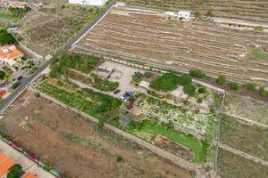 Estate - San Miguel (46)