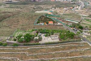 Estate - San Miguel (48)