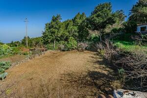 Haus mit 5 Schlafzimmern - El Tanque (22)