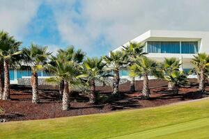 Land - Abama - Custom Villas — photo 1 of 10
