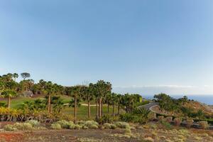 Land - Abama - Custom Villas — photo 8 of 10