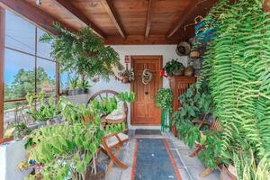 4 Bedroom House - Icod de Los Vinos — photo 22 of 65
