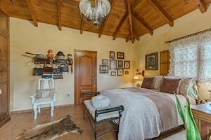 4 Bedroom House - Icod de Los Vinos — photo 43 of 65