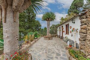 4 Bedroom House - Icod de Los Vinos — photo 51 of 65