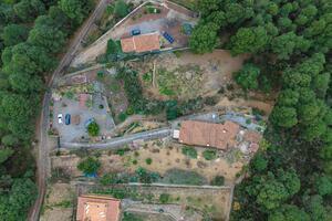 4 Bedroom House - Icod de Los Vinos — photo 59 of 65