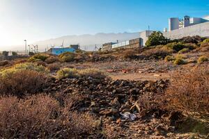 Land - Poris de Abona (14)