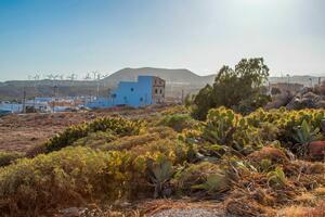 Land - Poris de Abona (15)