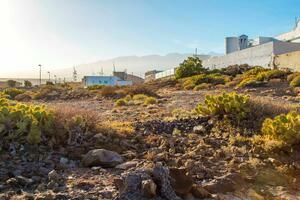 Land - Poris de Abona (17)