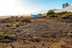 Land - Poris de Abona (18)