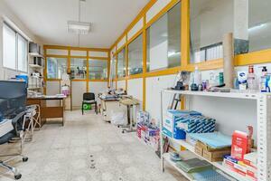 Business - Alcalá (10)