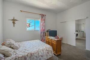 Estate - Tejina (12)