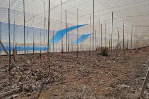 Land - Guía de Isora (6)