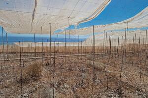 Land - Guía de Isora (9)