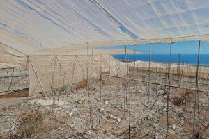 Land - Guía de Isora (10)