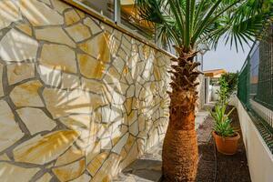 2 Bedroom Bungalow - San Eugenio Alto (23)