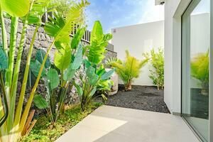 Вилла Люкс с 4 спальнями - Callao Salvaje (21)