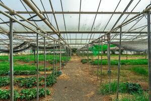 Estate - Valle Guerra (35)