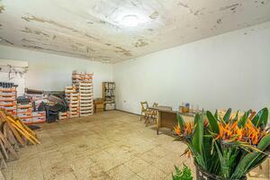 Estate - Valle Guerra (25)