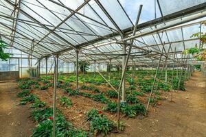 Estate - Valle Guerra (33)