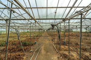 Estate - Valle Guerra (36)