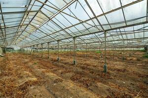 Estate - Valle Guerra (37)