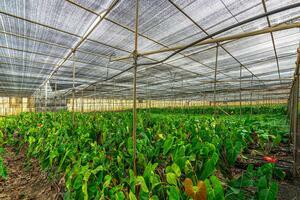 Estate - Valle Guerra (38)