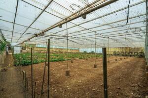 Estate - Valle Guerra (42)