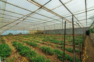 Estate - Valle Guerra (43)