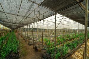 Estate - Valle Guerra (44)