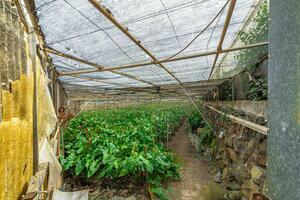 Estate - Valle Guerra (47)