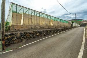 Estate - Valle Guerra (51)