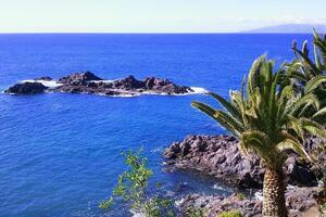 Seafront 6 Bedroom House - Guía de Isora (0)