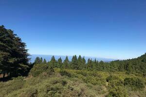 Estate - La Matanza de Acentejo (5)