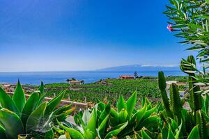 5 Bedroom Villa - Acantilados de Los Gigantes (5)