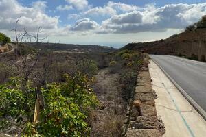 Land - Granadilla de Abona (4)